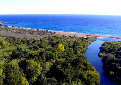 Plage vue drone